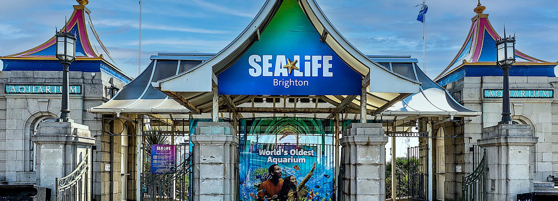 Sealife Centre - Image 8