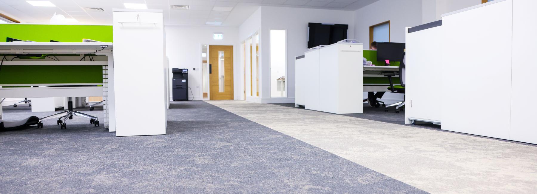 International Plywood - Image 6