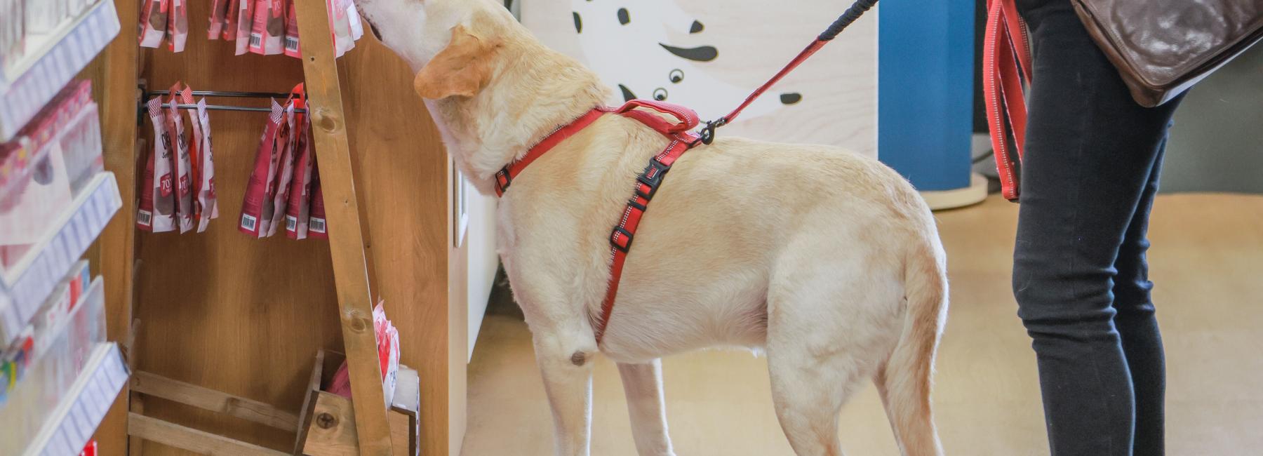 Just for Pets - Image 7