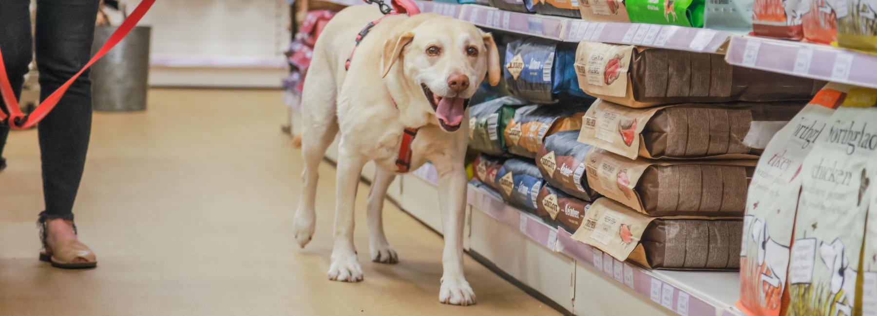 Just for Pets - Image 9