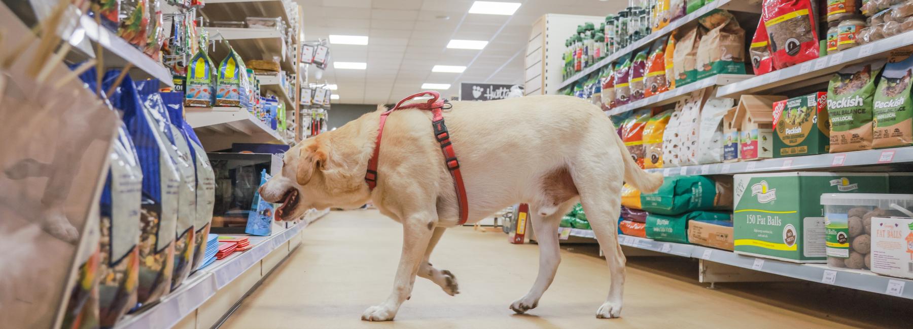 Just for Pets - Image 11
