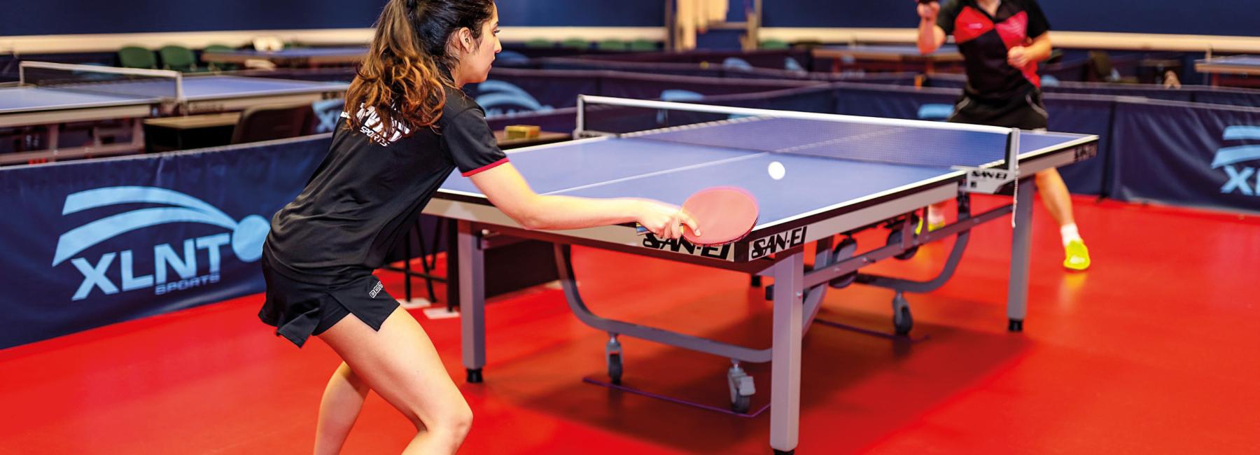 Goodwin Table Tennis