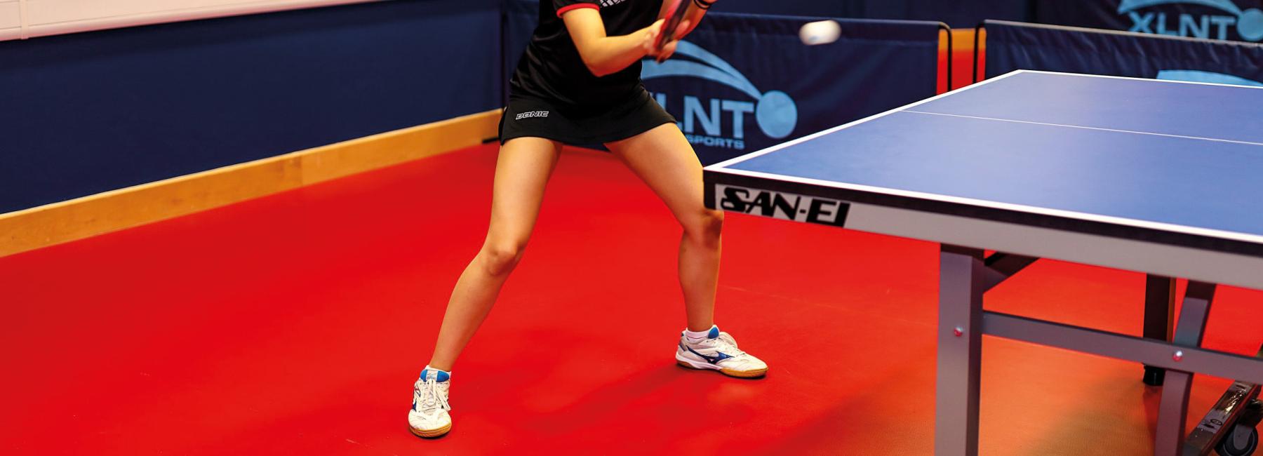 Goodwin Table Tennis - 2