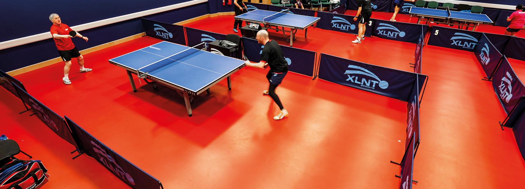 Goodwin Table Tennis - 3