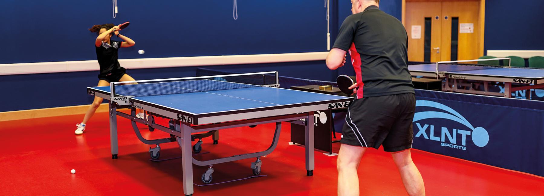 Goodwin Table Tennis - 4